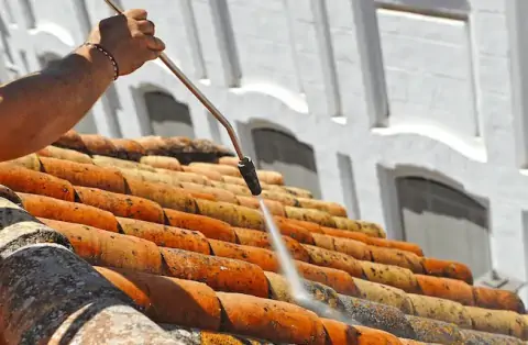 Nettoyage de toitures - Lagnieu